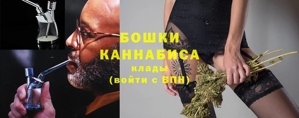 дмт Белокуриха