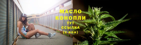 молекула духа Арсеньев