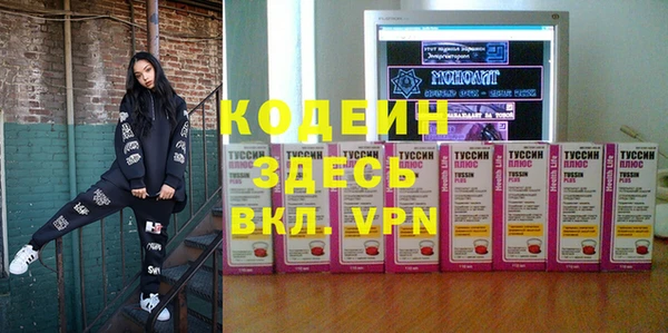 молекула духа Арсеньев
