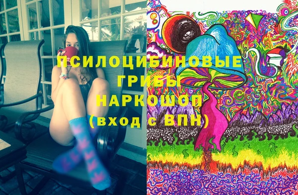 дмт Белокуриха