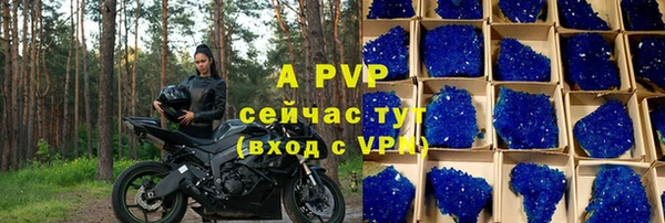 ешки Алексин