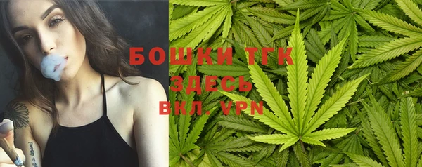 винт Аркадак