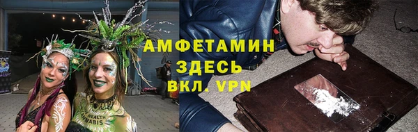молекула духа Арсеньев