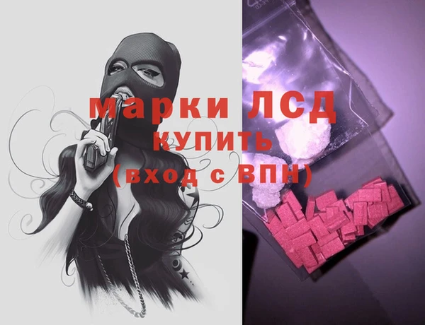 молекула духа Арсеньев